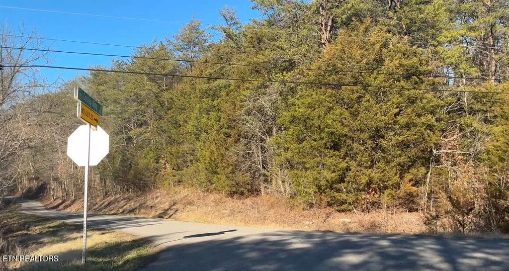 Photo of 0 Alex Bales Rd Lot 1 Rd, Kodak, TN 37764 (MLS # 1333440)