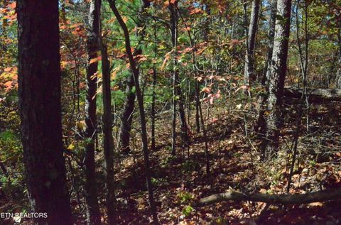 Tiny photo for 28 Mountain Retreat Rd, Townsend, TN 37882 (MLS # 1319381)