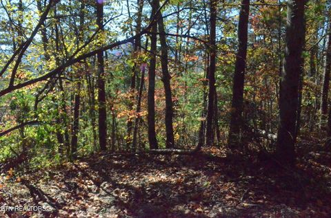 Tiny photo for 28 Mountain Retreat Rd, Townsend, TN 37882 (MLS # 1319381)