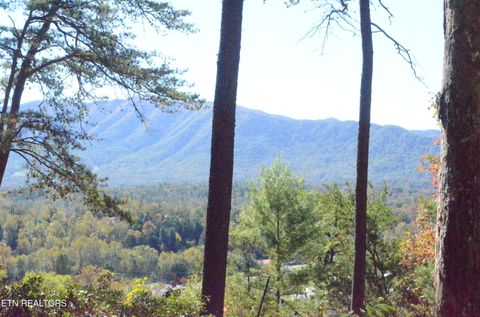 Tiny photo for 28 Mountain Retreat Rd, Townsend, TN 37882 (MLS # 1319381)