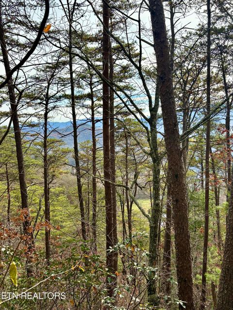 Tiny photo for 28 Mountain Retreat Rd, Townsend, TN 37882 (MLS # 1319381)