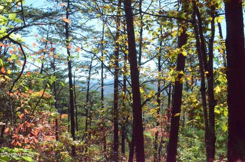Photo of 28 Mountain Retreat Rd, Townsend, TN 37882 (MLS # 1319381)