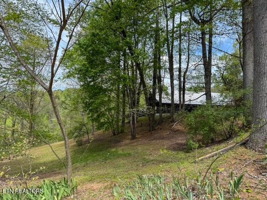 Photo of 1421 Silver Poplar Lane, Sevierville, TN 37876 (MLS # 1336978)