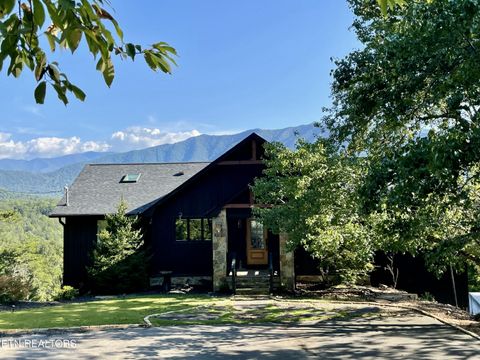 134 Craig Cove Townsend TN 37882