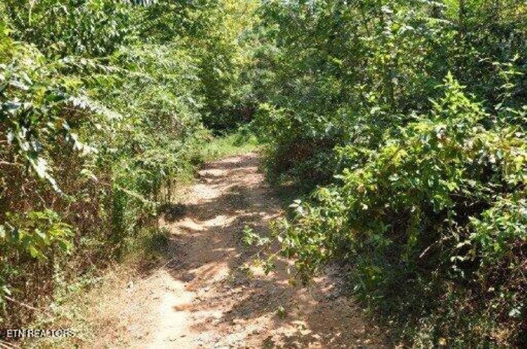 Photo of 123 Dogwood Ridge Rd, Kingston, TN 37763 (MLS # 1312359)