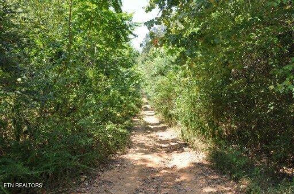 Photo of 123 Dogwood Ridge Rd, Kingston, TN 37763 (MLS # 1312359)