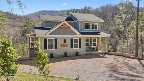 Tiny photo for 330 Rainbow Circle, Townsend, TN 37882 (MLS # 1333056)
