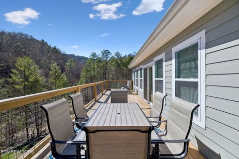 Tiny photo for 330 Rainbow Circle, Townsend, TN 37882 (MLS # 1333056)