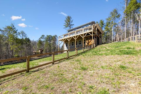 Tiny photo for 330 Rainbow Circle, Townsend, TN 37882 (MLS # 1333056)