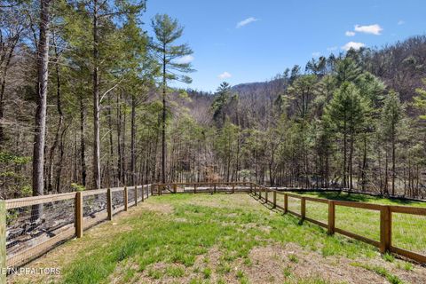 Tiny photo for 330 Rainbow Circle, Townsend, TN 37882 (MLS # 1333056)