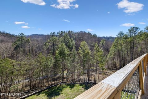 Tiny photo for 330 Rainbow Circle, Townsend, TN 37882 (MLS # 1333056)