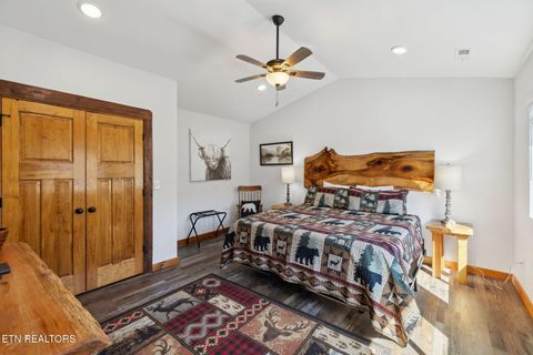 Tiny photo for 330 Rainbow Circle, Townsend, TN 37882 (MLS # 1333056)