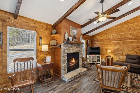 Tiny photo for 330 Rainbow Circle, Townsend, TN 37882 (MLS # 1333056)