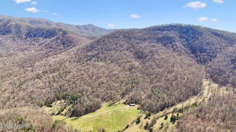 Tiny photo for 330 Rainbow Circle, Townsend, TN 37882 (MLS # 1333056)