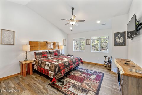Tiny photo for 330 Rainbow Circle, Townsend, TN 37882 (MLS # 1333056)