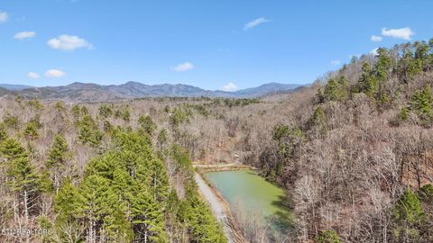 Tiny photo for 330 Rainbow Circle, Townsend, TN 37882 (MLS # 1333056)