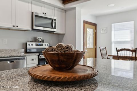 Tiny photo for 330 Rainbow Circle, Townsend, TN 37882 (MLS # 1333056)