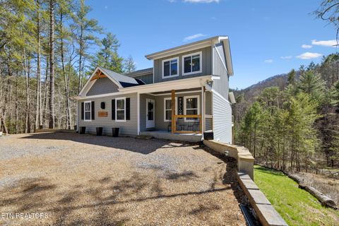 Tiny photo for 330 Rainbow Circle, Townsend, TN 37882 (MLS # 1333056)