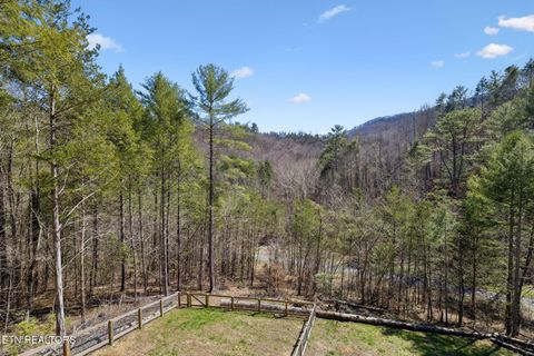 Tiny photo for 330 Rainbow Circle, Townsend, TN 37882 (MLS # 1333056)