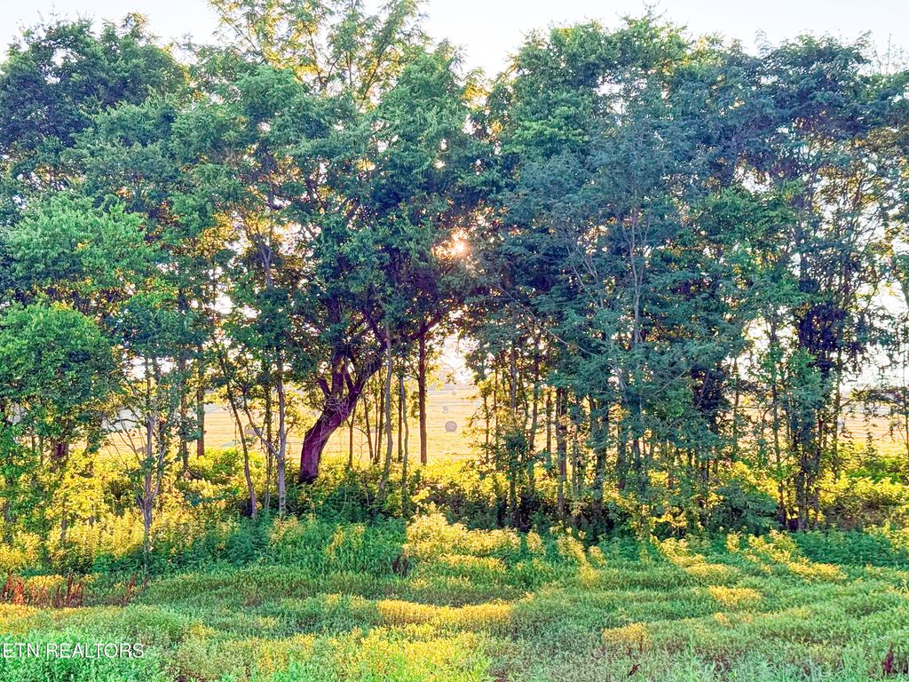 Photo of Lot 19 Summerset Drive, Talbott, TN 37877 (MLS # 1307911)