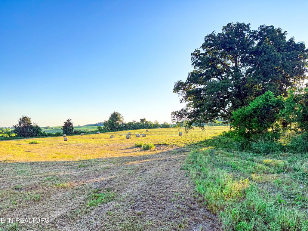 Photo of Lot 19 Summerset Drive, Talbott, TN 37877 (MLS # 1307911)