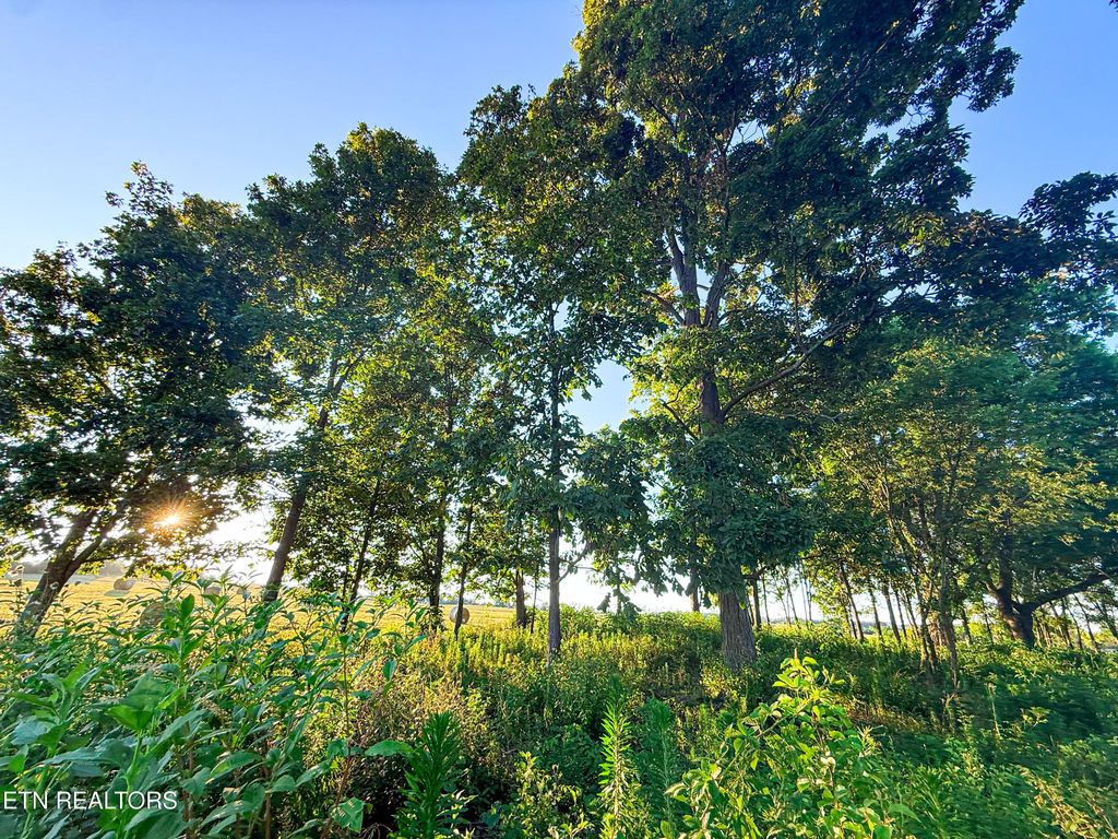 Photo of Lot 19 Summerset Drive, Talbott, TN 37877 (MLS # 1307911)