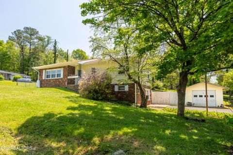 3808 Oakwood Lane Knoxville TN 37921
