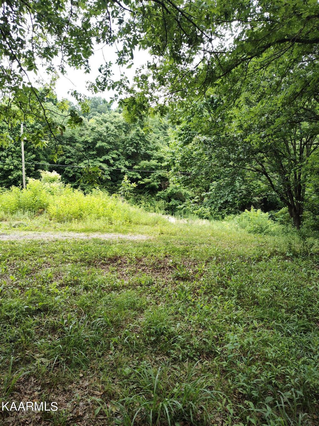 Photo of 4418 Vinegar Valley Rd, Friendsville, TN 37737 (MLS # 1230020)