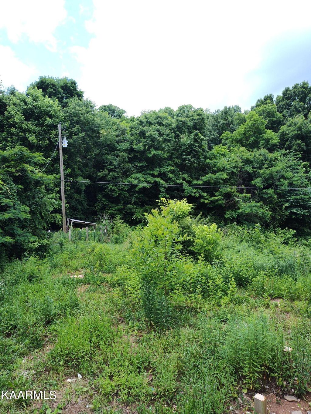 Photo of 4418 Vinegar Valley Rd, Friendsville, TN 37737 (MLS # 1230020)