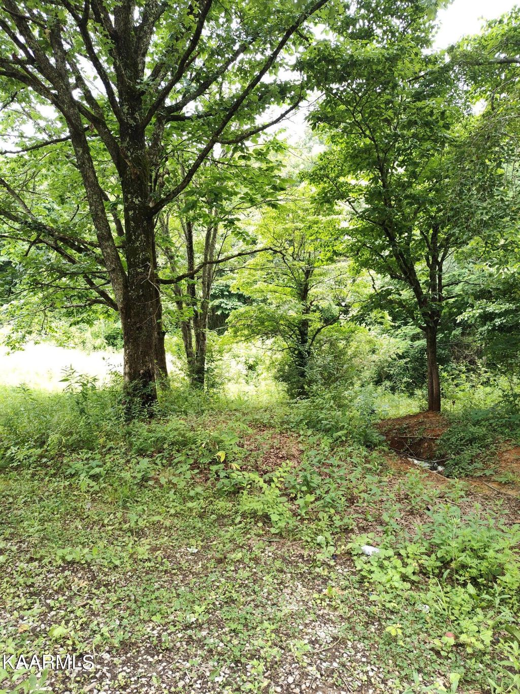 Photo of 4418 Vinegar Valley Rd, Friendsville, TN 37737 (MLS # 1230020)