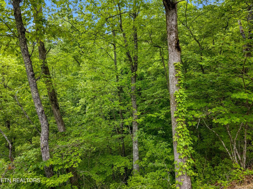 Photo of Red Bone Way, Sevierville, TN 37876 (MLS # 1340825)