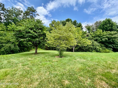 Tiny photo for 1052 Fine Glen Drive, Sevierville, TN 37862 (MLS # 1350033)