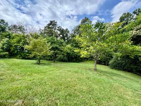 Tiny photo for 1052 Fine Glen Drive, Sevierville, TN 37862 (MLS # 1350033)