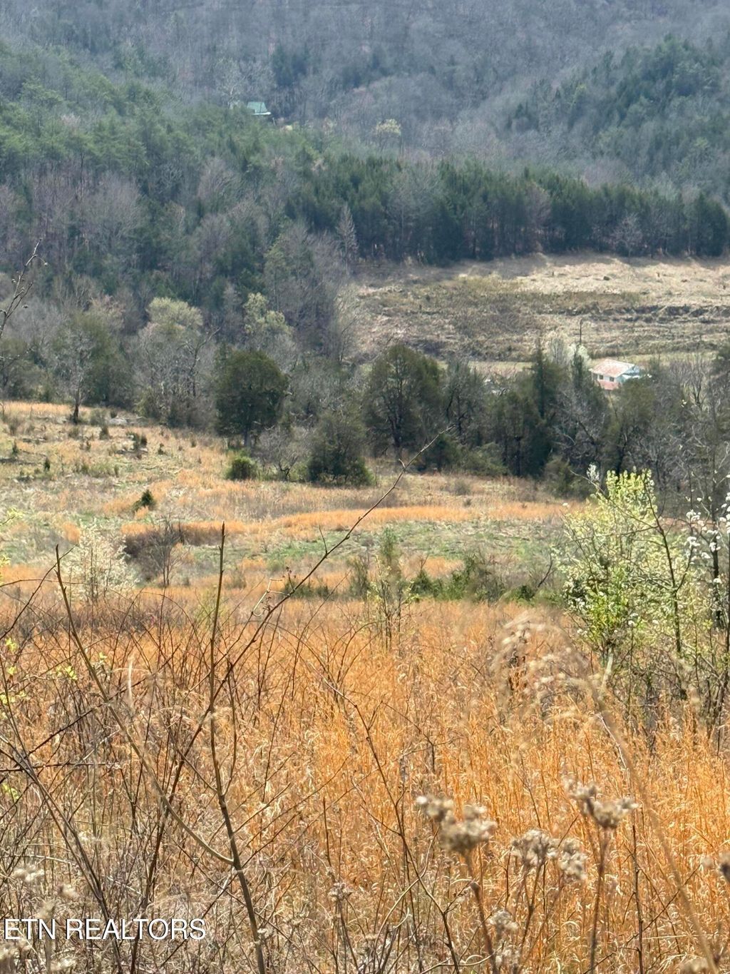 Photo of 00 Cantwell Valley Rd, Sneedville, TN 37869 (MLS # 1332787)