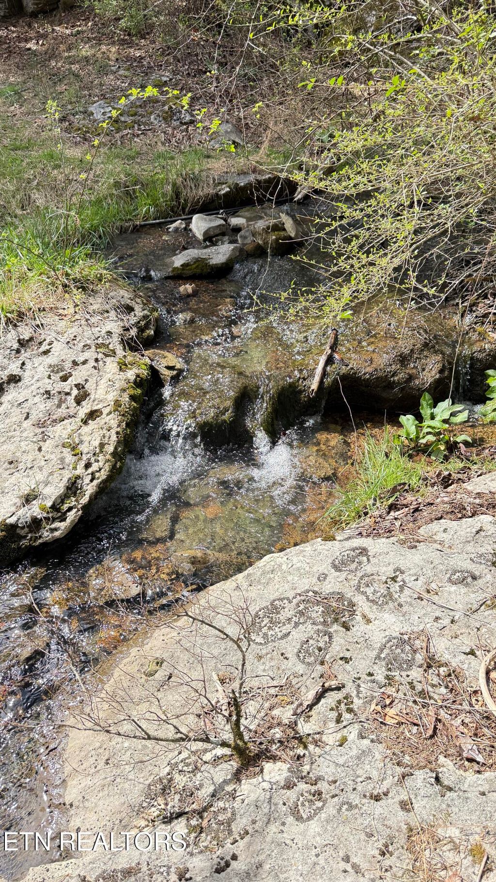 Photo of 00 Cantwell Valley Rd, Sneedville, TN 37869 (MLS # 1332787)