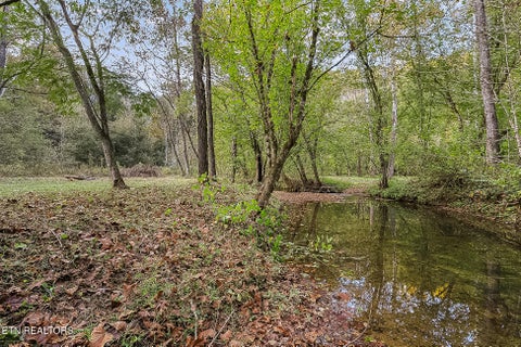 Tiny photo for 142 Lambdin Rd, Maynardville, TN 37807 (MLS # 1360263)