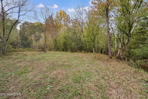 Tiny photo for 142 Lambdin Rd, Maynardville, TN 37807 (MLS # 1360263)