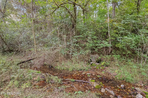 Tiny photo for 142 Lambdin Rd, Maynardville, TN 37807 (MLS # 1360263)