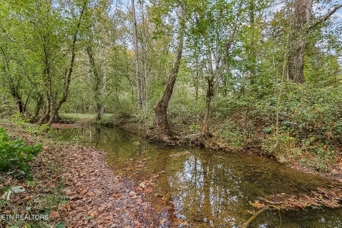 Tiny photo for 142 Lambdin Rd, Maynardville, TN 37807 (MLS # 1360263)