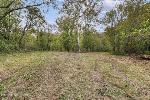 Tiny photo for 142 Lambdin Rd, Maynardville, TN 37807 (MLS # 1360263)