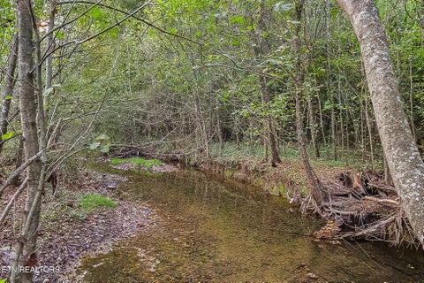 Tiny photo for 142 Lambdin Rd, Maynardville, TN 37807 (MLS # 1360263)