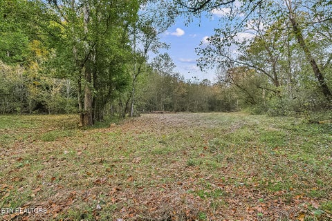 Tiny photo for 142 Lambdin Rd, Maynardville, TN 37807 (MLS # 1360263)