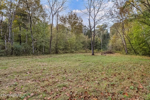 Tiny photo for 142 Lambdin Rd, Maynardville, TN 37807 (MLS # 1360263)