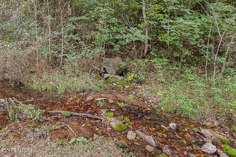Tiny photo for 142 Lambdin Rd, Maynardville, TN 37807 (MLS # 1360263)