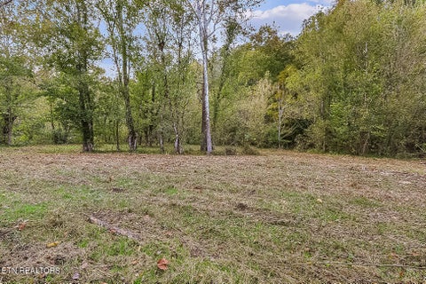 Tiny photo for 142 Lambdin Rd, Maynardville, TN 37807 (MLS # 1360263)