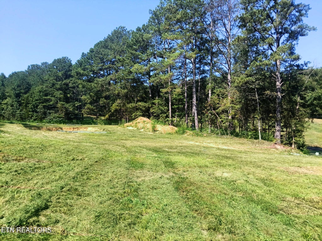 Photo of 2 County Road 181, Decatur, TN 37322 (MLS # 1353093)