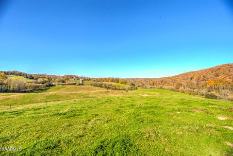 Tiny photo for 311 Ross Cemetery Rd, Rocky Top, TN 37769 (MLS # 1174105)