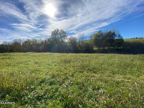 Tiny photo for 311 Ross Cemetery Rd, Rocky Top, TN 37769 (MLS # 1174105)