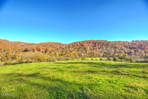 Tiny photo for 311 Ross Cemetery Rd, Rocky Top, TN 37769 (MLS # 1174105)