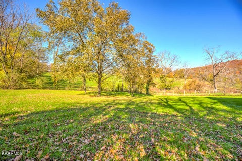 Tiny photo for 311 Ross Cemetery Rd, Rocky Top, TN 37769 (MLS # 1174105)